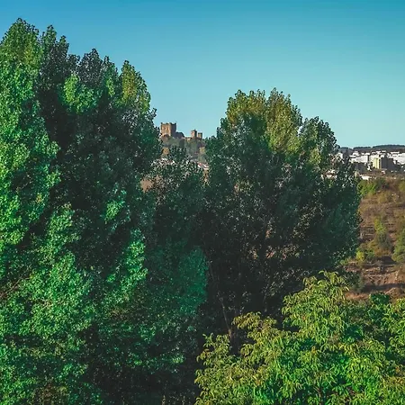 Pensionat Local Do Arado