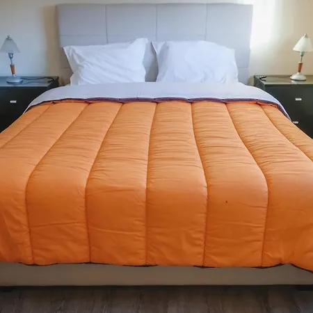 Local Do Arado Bragança