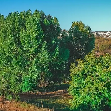 Local Do Arado Affittacamere 3*