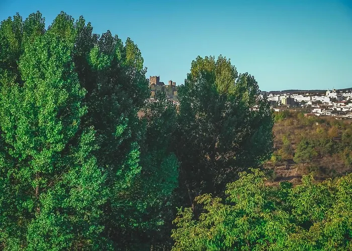 بيت ضيافة Local Do Arado