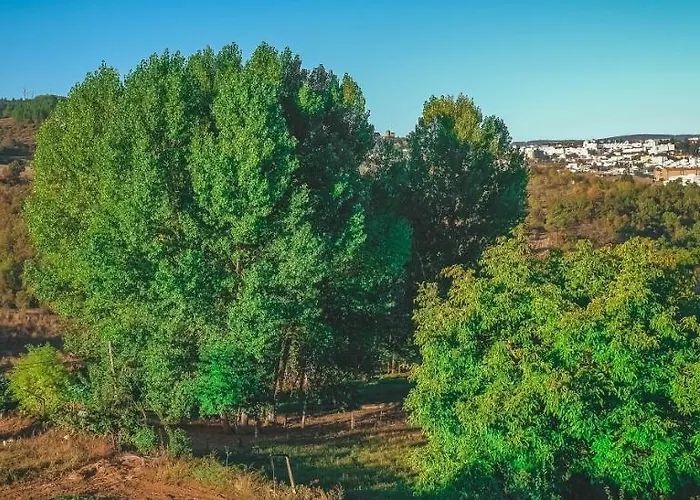 Local Do Arado بيت ضيافة 3*